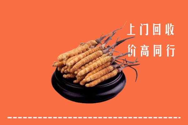 高价求购：海口市秀英区回收散虫草