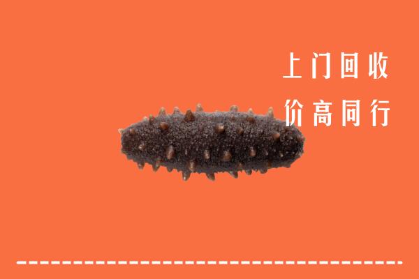 高价求购：海口市秀英区回收海参